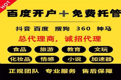 成功案例：SEM托管提升网站流量策略